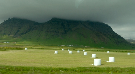 Marshmallow farm